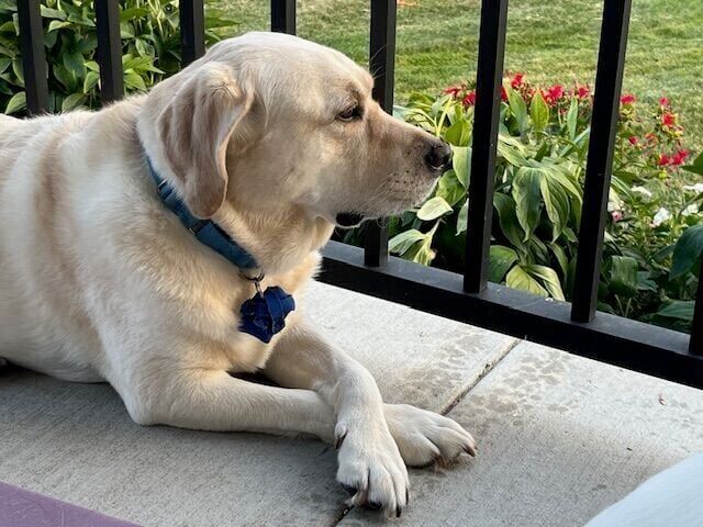 Oakley