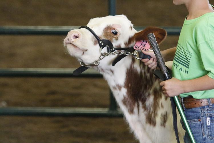 “County Pride, County Wide,” at the 2021 Dawson County Fair