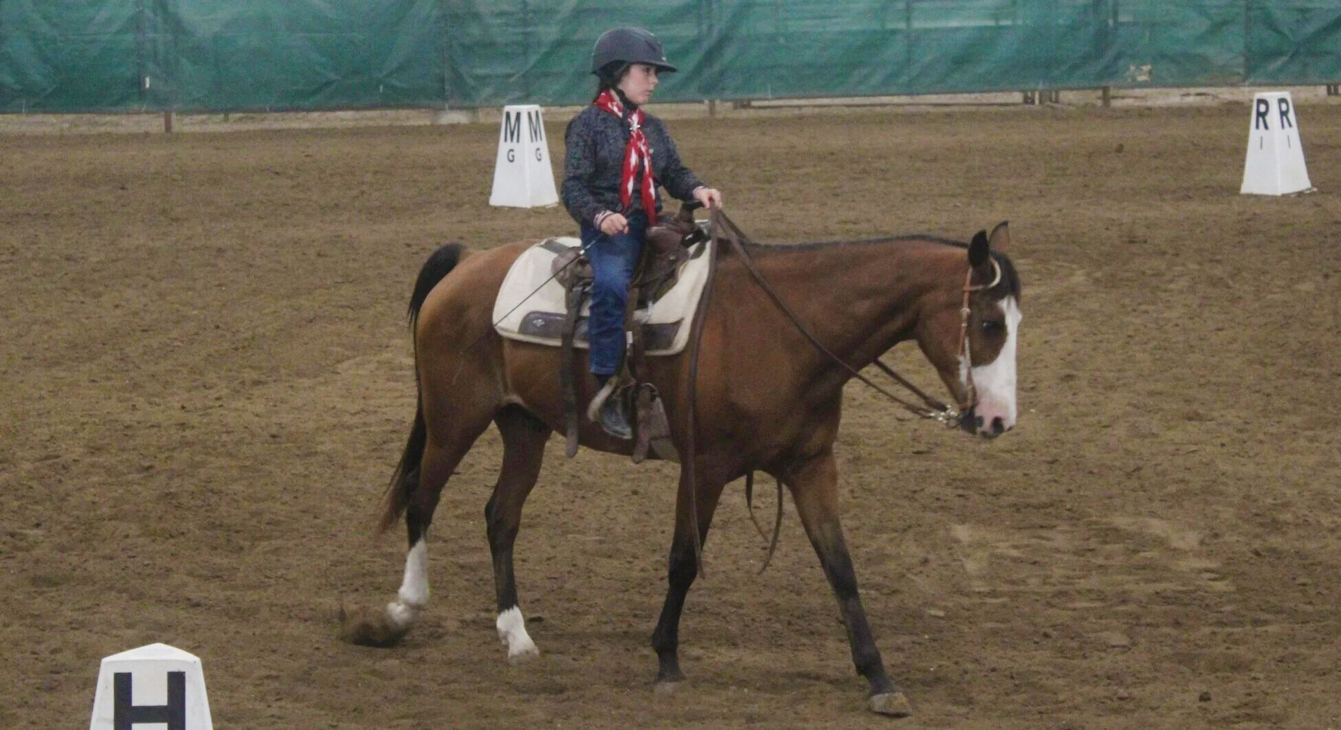 Local riders take talents to show in Lincoln PAGE B3