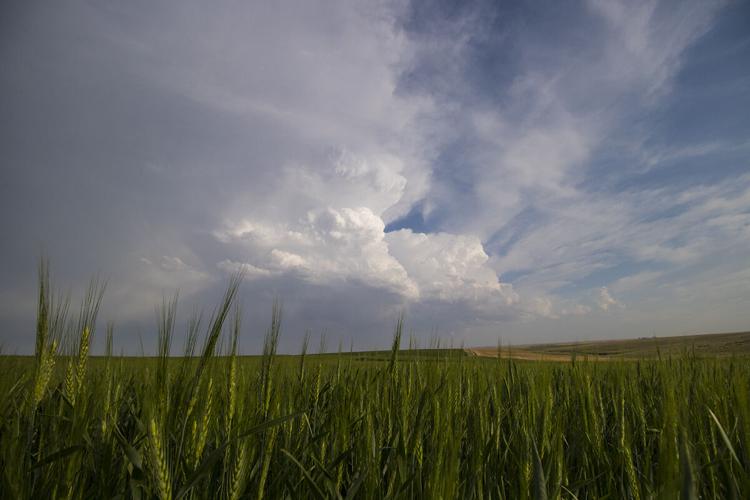 High Plains thunderstorm