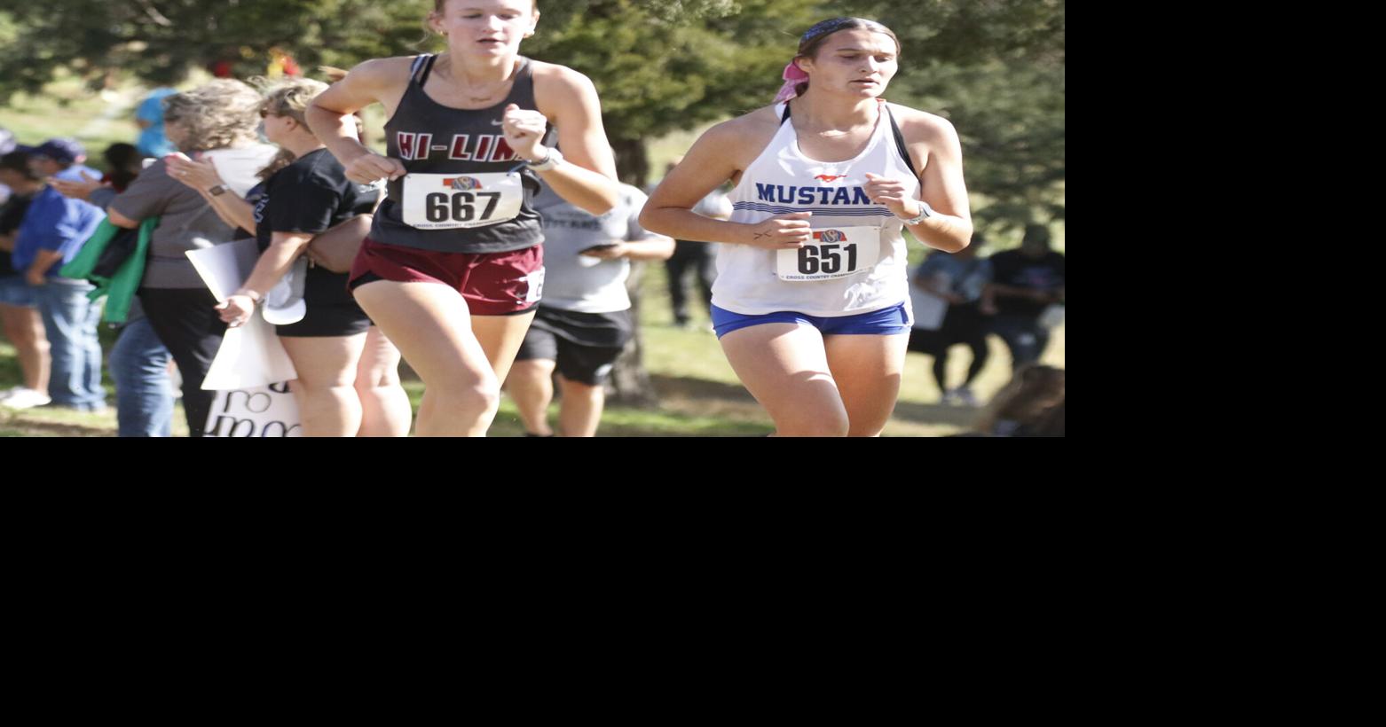 Local runners end season at state cross country