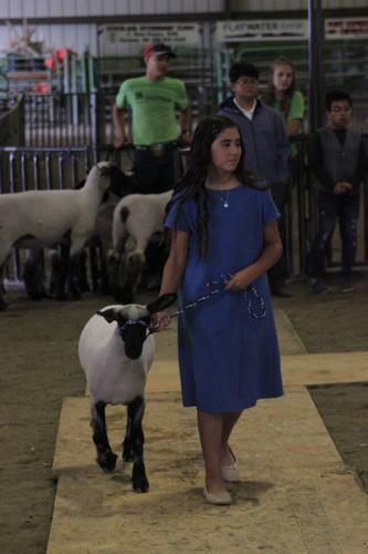 071923-lex-news-dawson-fair22.JPG