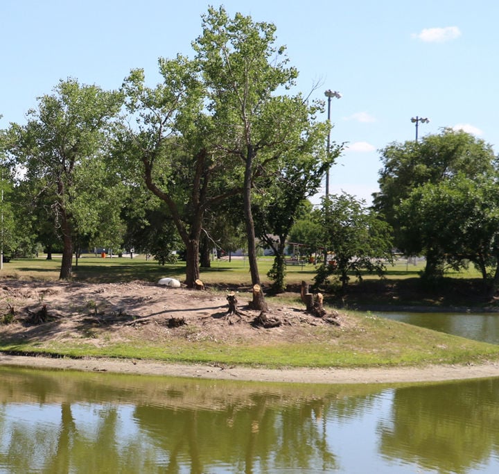 Trees come down as part of Plum Creek Park restoration | Latest ...