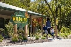 wildlifesafar.jpg