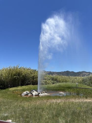 Old Faithful Geyser of California