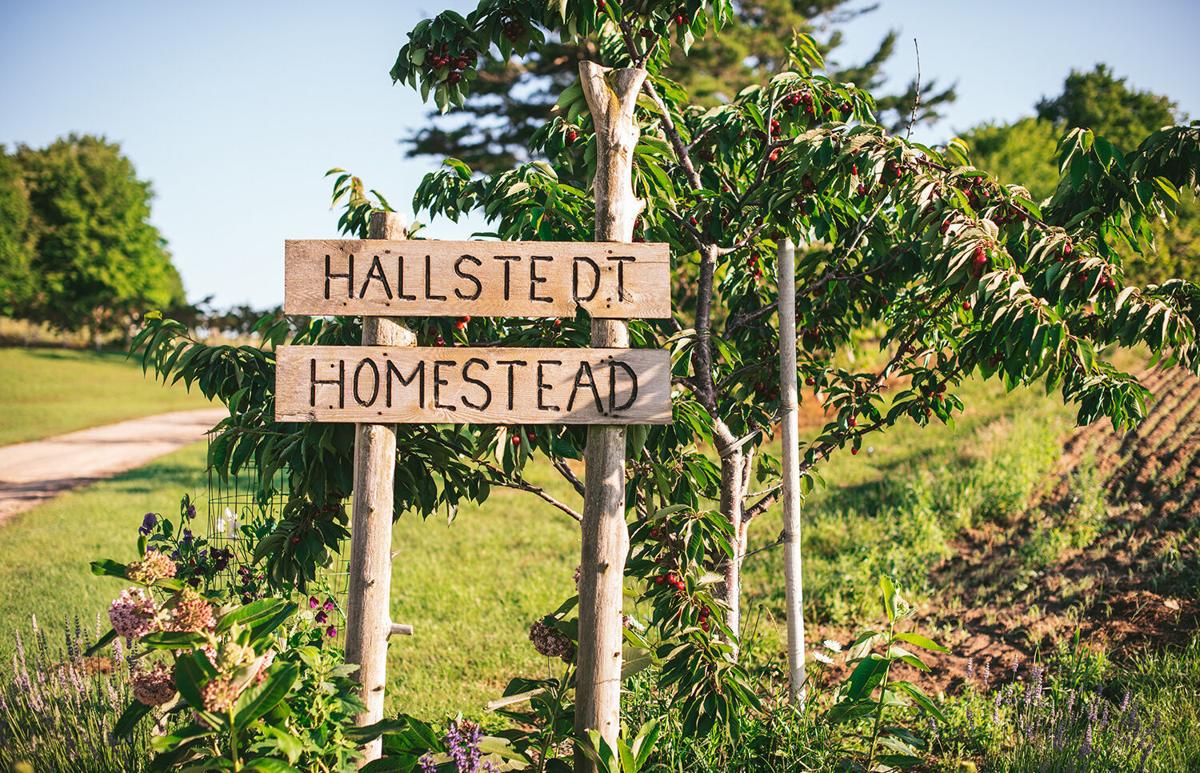 Hallstedt Cherries sign