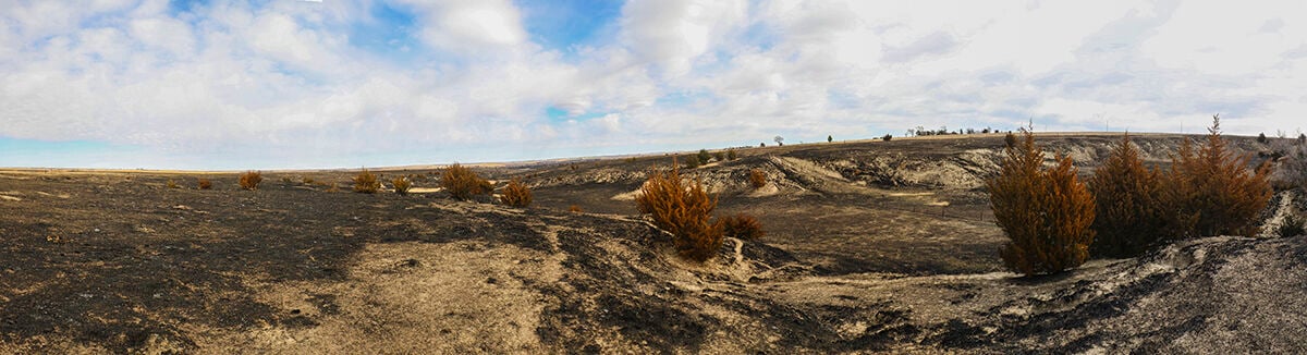 Untitled_Panorama1WEB (2).jpg