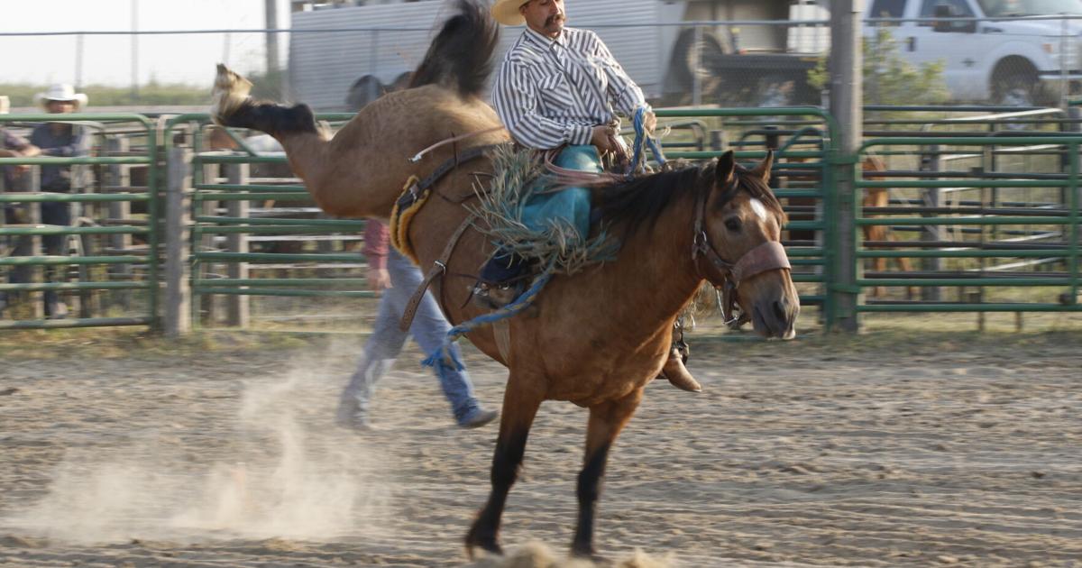 Redwood Rodeo 51st Annual Elwood Rodeo
