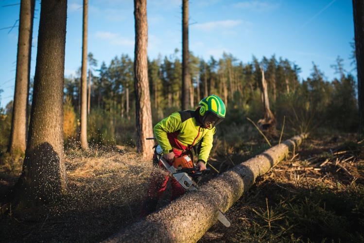 Logging