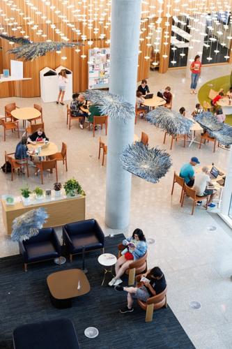 080626-library-nf-02