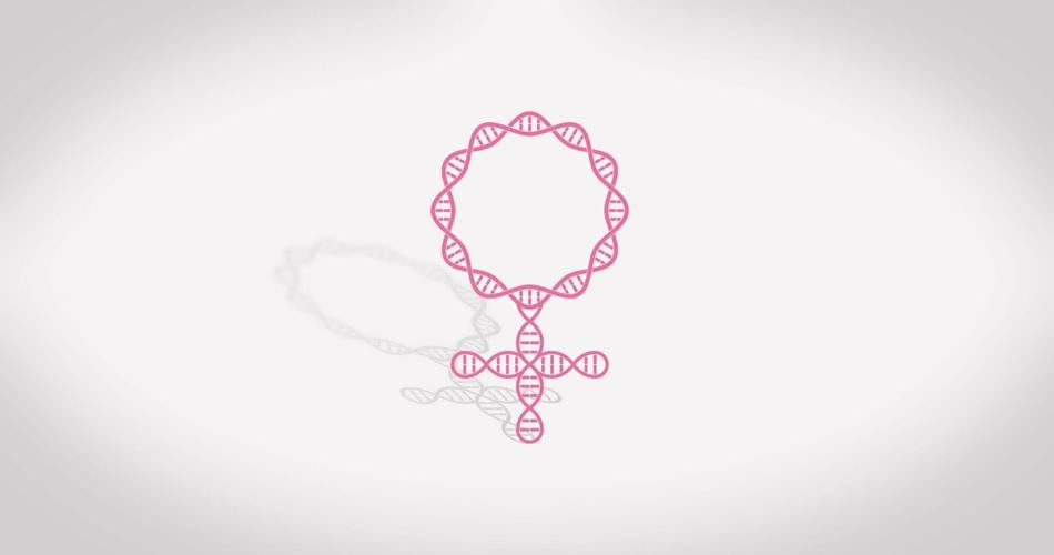 The International Olympic Committee is reinstating genetic testing for all female athletes competing in the 2028 Summer Olympics and future IOC events.