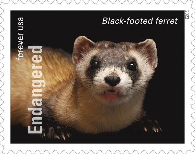 Photo Ark stamps