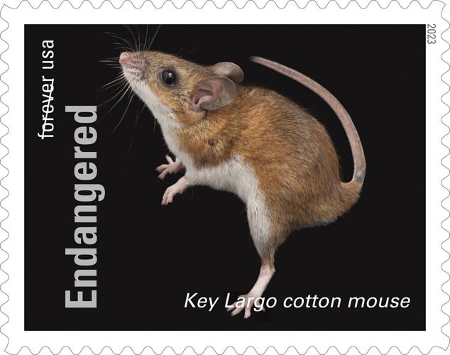 Photo Ark stamps