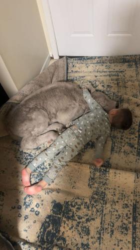 Winter Weather-Cold Calf