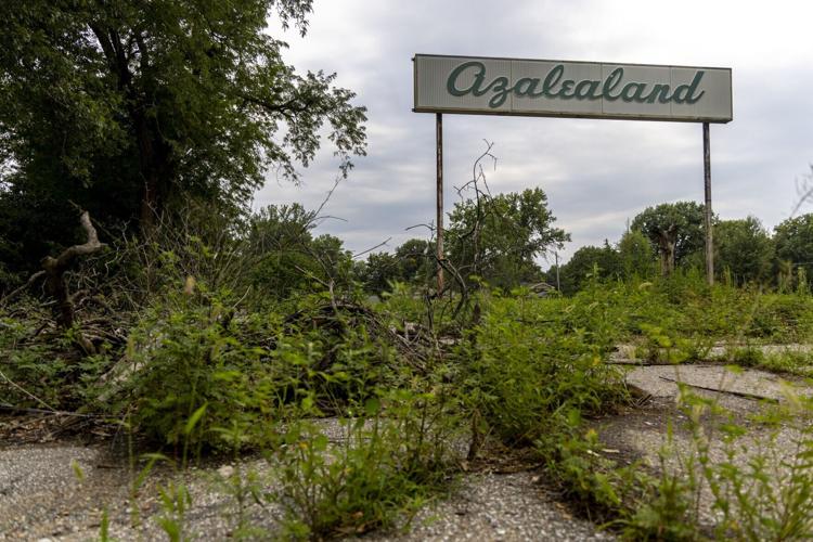 Azalealand