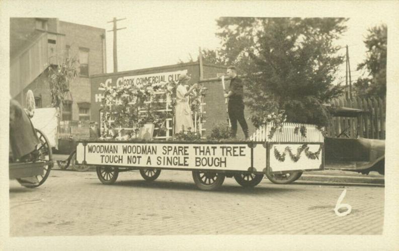 A Proposed Arboreal Bureau
