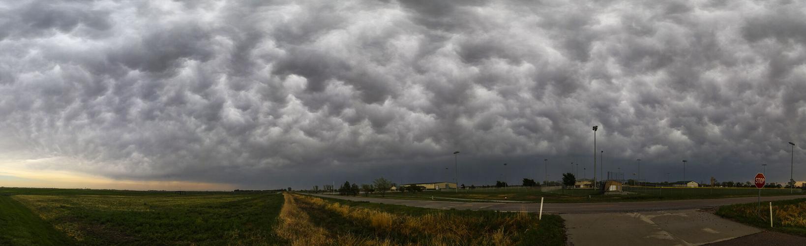 Untitled_Panorama1WEB (1).jpg