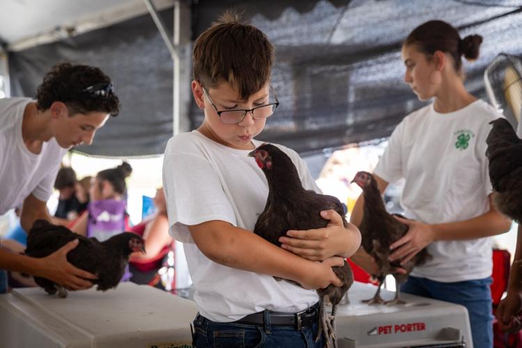 071926-countyfair-jc-26