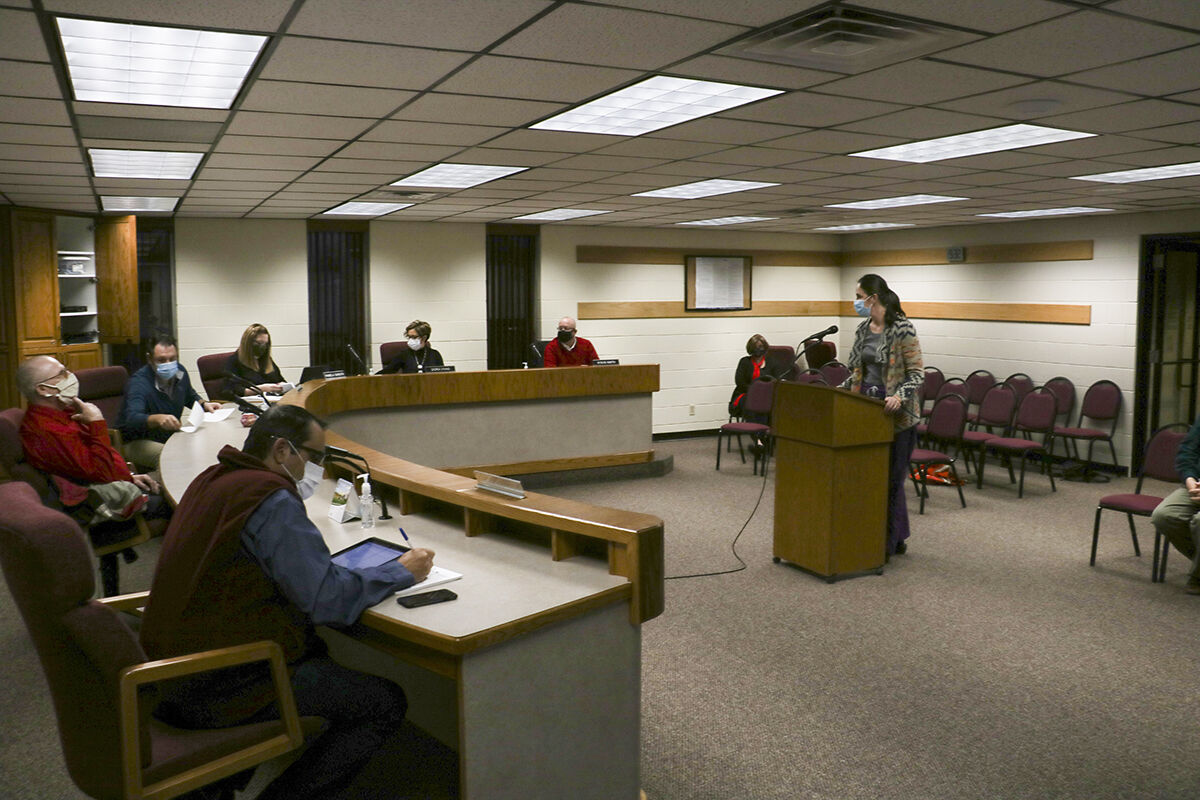 Dr. Beecham before the city council
