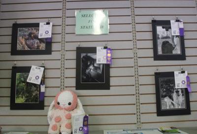 State photgraphy and bunny.JPG