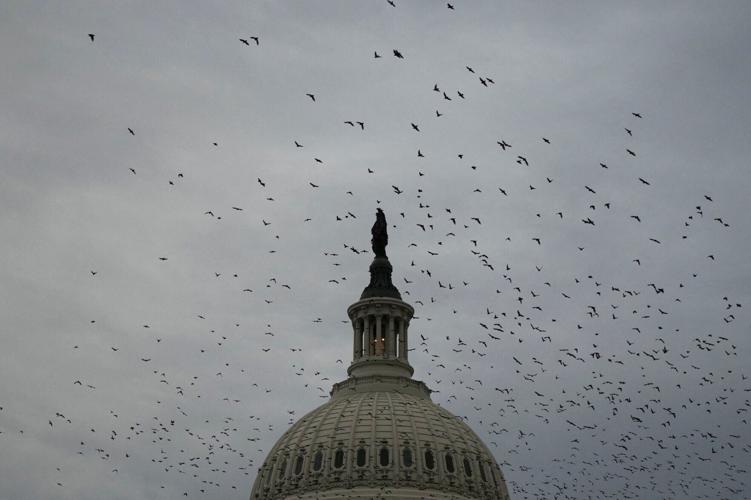 USA-CONGRESS/