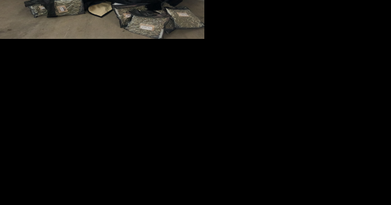 Oregon man caught trafficking 500 pounds of pot: 'I have questions in my case' - Vimarsana News