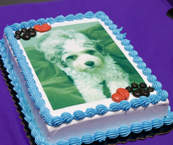 leo cake.png