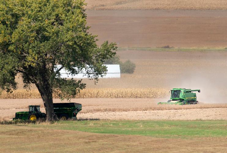 Soybean harvest
