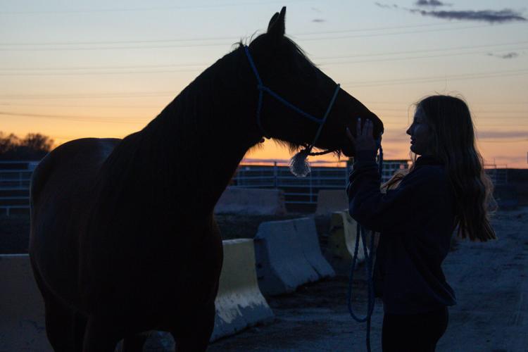 Barrel racer /COPYRIGHT RESTRICTED