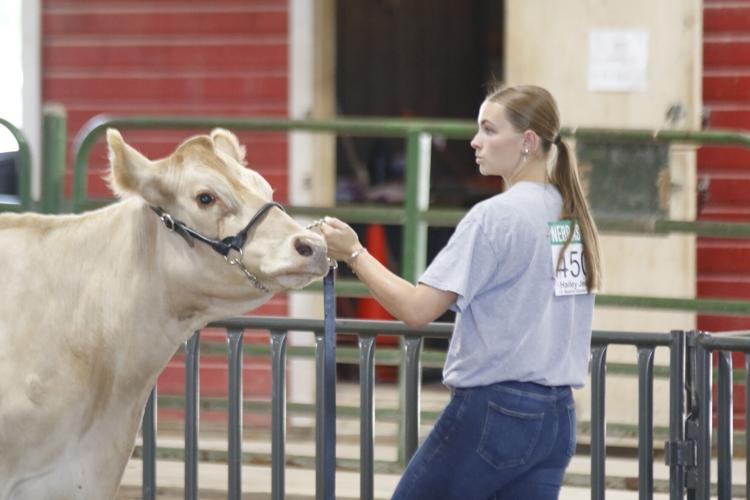 Hailey Jensen senior showmanship