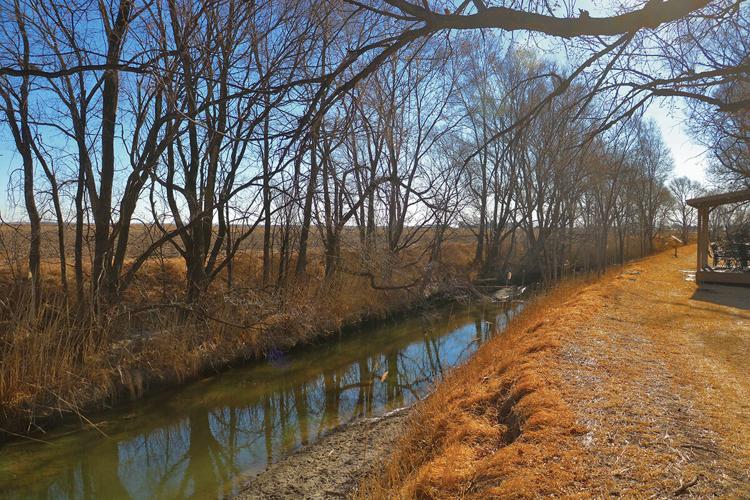 IMG_4142 (1)CMYK.jpg