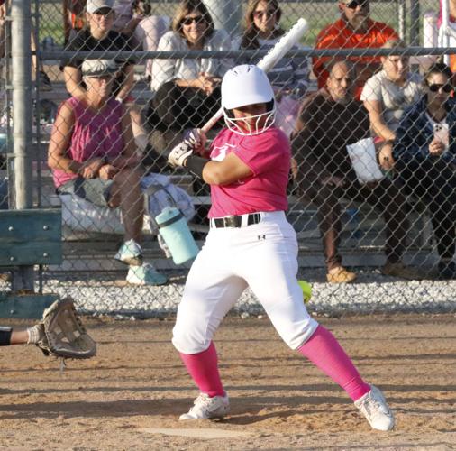 Lexington drops home softball match to Southern Valley