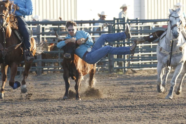 Dawson Doggett steer wrestling