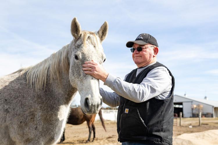 Horse Racing COPYRIGHT RESTRICTED