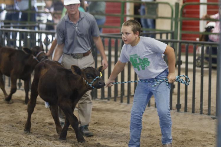 Colt Drews bucket calf
