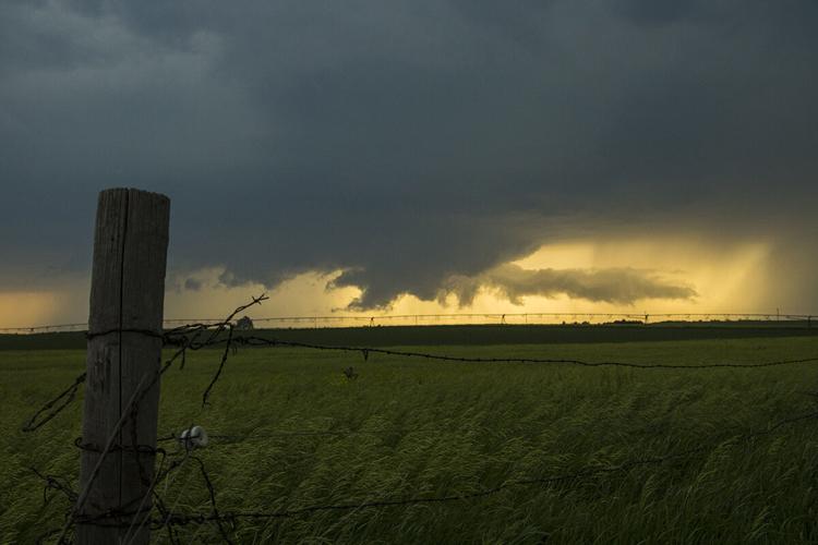 Developing wall cloud and inflow tail