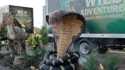 Wild Adventures: A Smart Zoo Experience