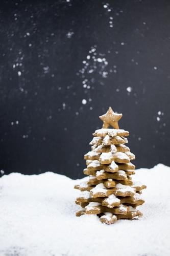 112421-owh-od-gingerbread-p3