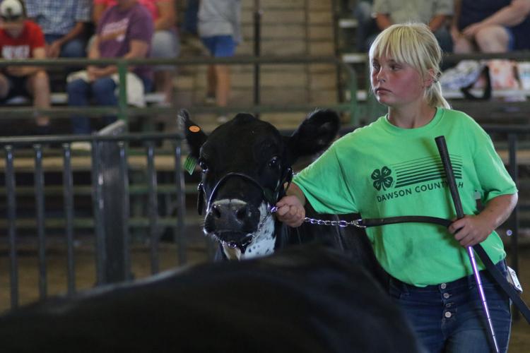 071923-lex-news-dawson-fair26.JPG