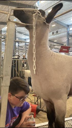 State Fair celebrates 4-Hers from across Nebraska