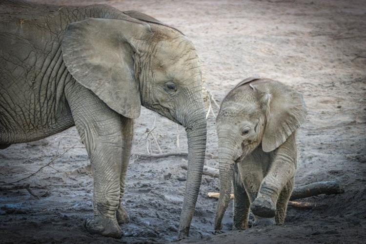 Eugenia left with Amandra right.jpg