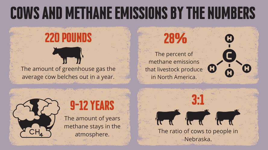 Cows, methane and global warming: oh my!