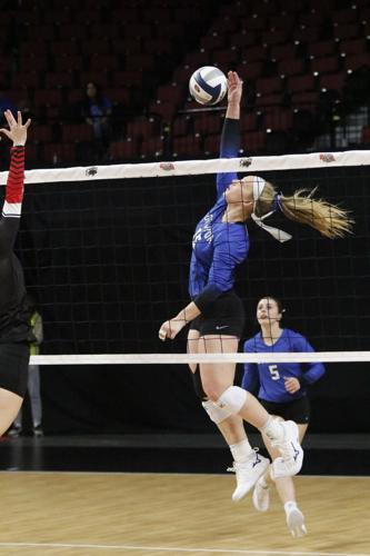 110723-lex-sports-eagles-vb20231103_0003.JPG