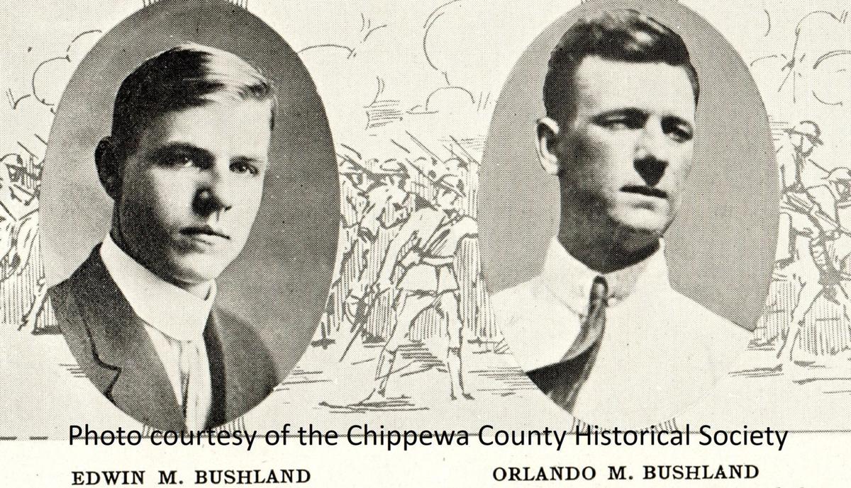 Edwin and Orlando Bushland