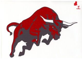 Hi-Line Bulls