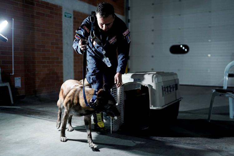 USAR COLOMBIA (Urban Search and Rescue) members prepare for search and rescue operations in Venezuela after the country was struck by earthquakes, in Bogota
