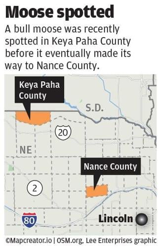 WEB_ONLY_#24081_100325_LJS_Moose_spotted