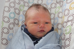 BRANTLEY CRAIG BRADSHAW