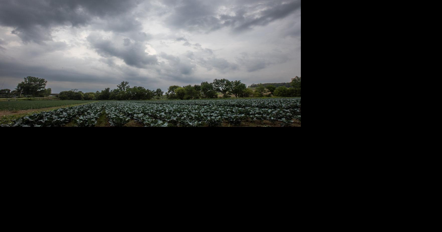 Trump approves another Nebraska disaster declaration, this one from May storms