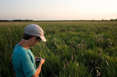 Researchers seeking clues in nature to track Mead ethanol plant's trauma